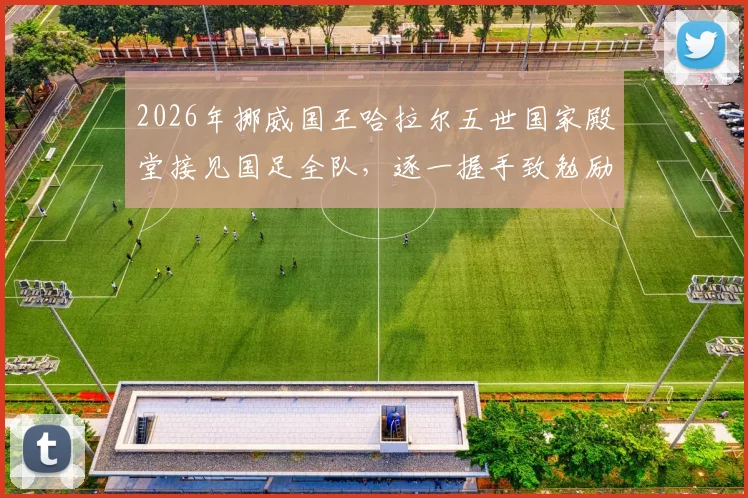 2026年挪威国王哈拉尔五世国家殿堂接见国足全队,逐一握手致勉励,现场直击